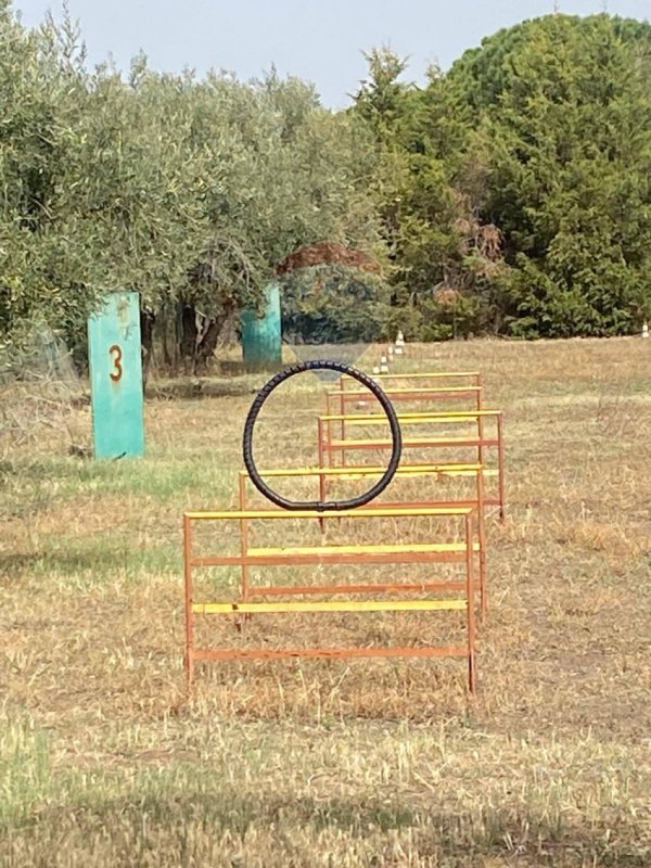 Landwirtschaftliche Fläche in Santa Maria di Licodia