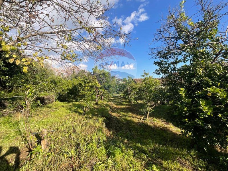 阿奇雷亚莱建筑用地