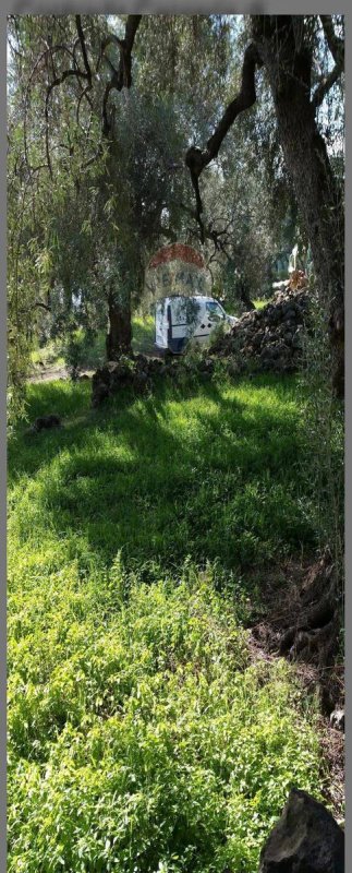 Terreno agrícola en Ragalna