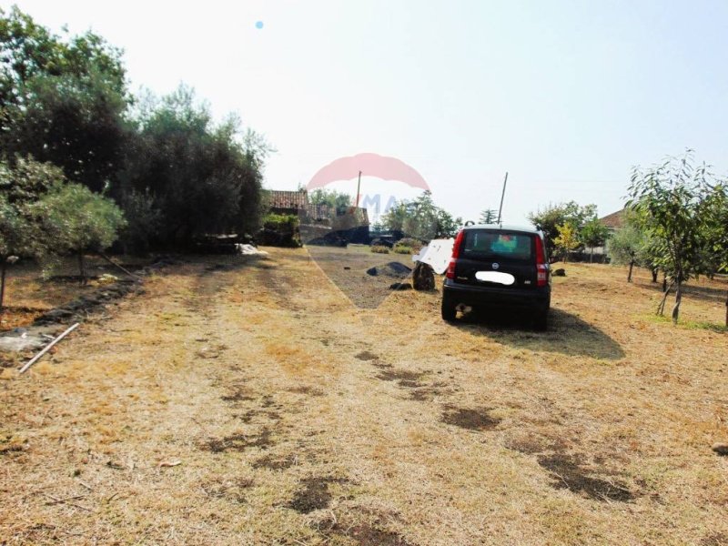 Terreno agrícola em Zafferana Etnea