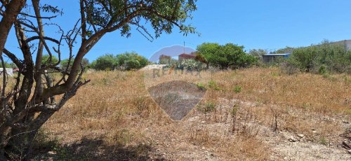 Terreno agricolo a Pachino