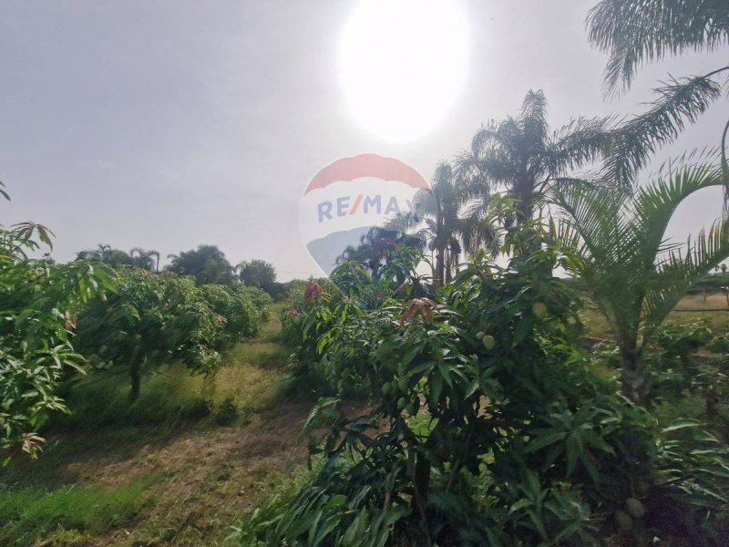 Edifício comercial em Fiumefreddo di Sicilia