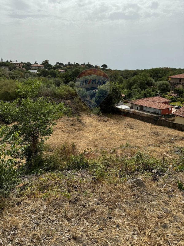 Agricultural land in Mascalucia