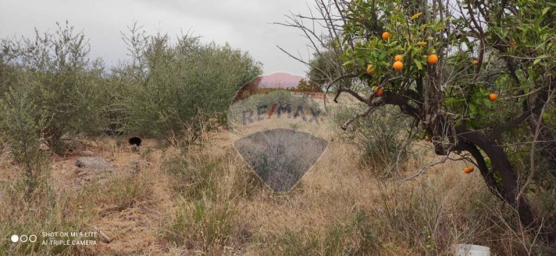 Landwirtschaftliche Fläche in Misterbianco