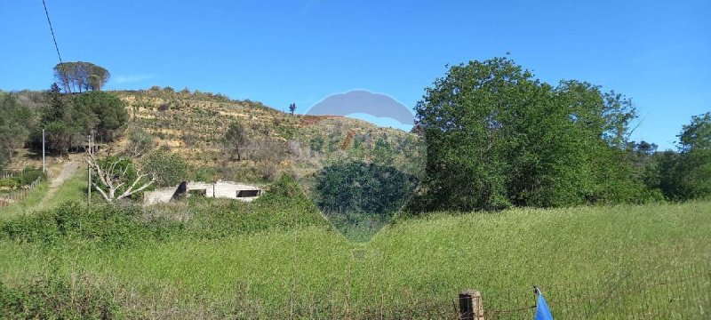 Terreno agrícola em Caltagirone