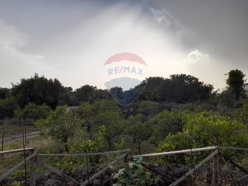 Terreno agrícola em Acireale