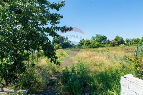 Terreno agrícola en Zafferana Etnea