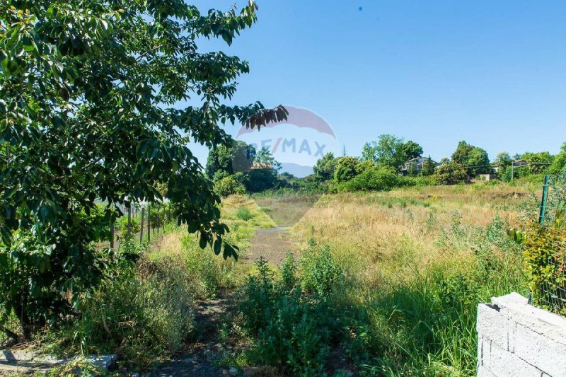 Terrain agricole à Zafferana Etnea