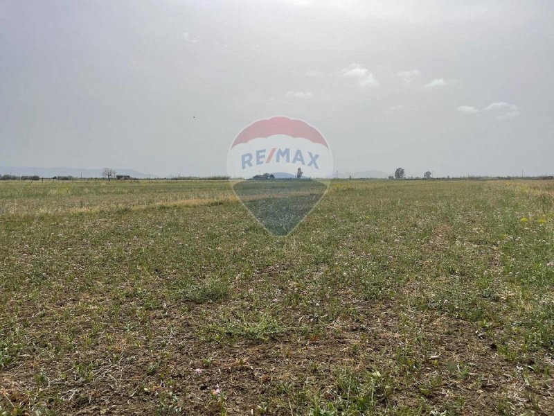 Agricultural land in Belpasso