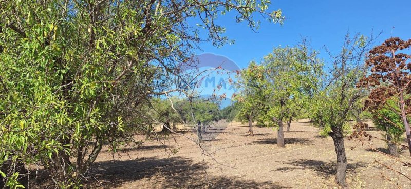 Terreno agrícola em Noto