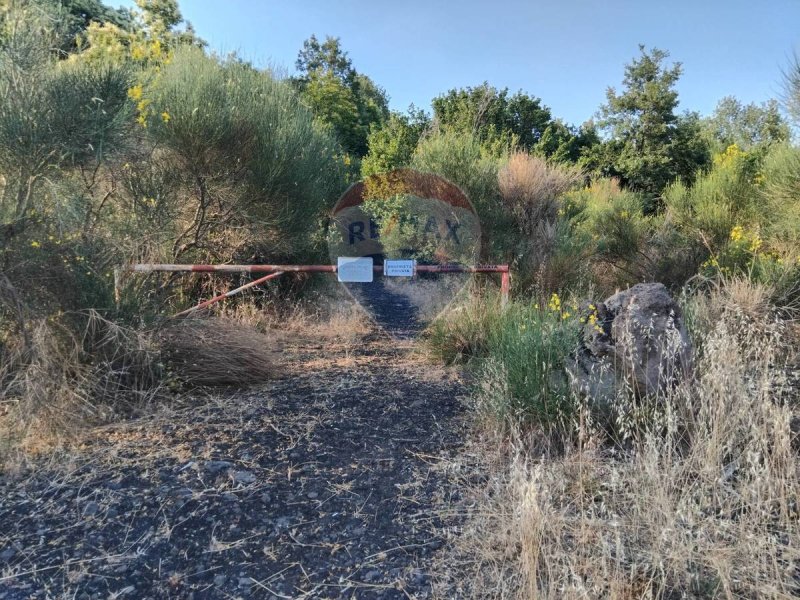 Terreno agricolo a Mascali