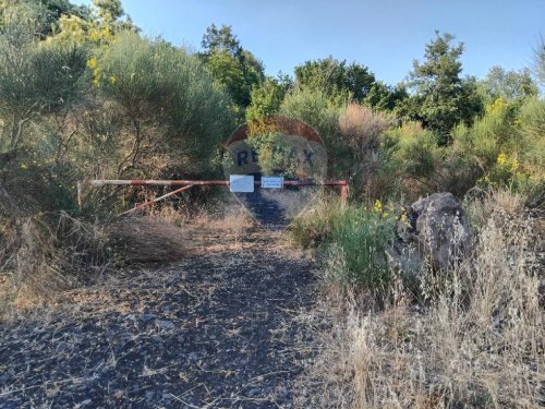 Terreno agrícola en Mascali