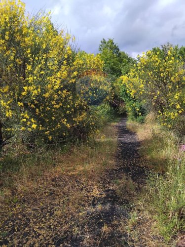 Terreno agrícola em Mascali