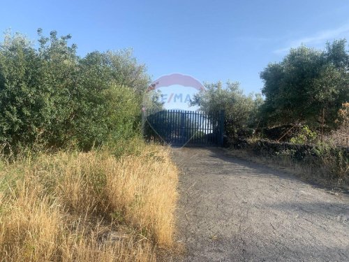 Terreno agrícola em Mascalucia