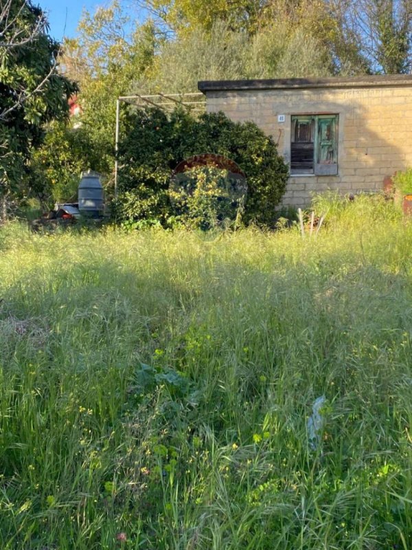 House in Aci Sant'Antonio