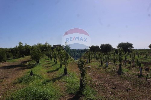 Terreno agrícola em Catânia