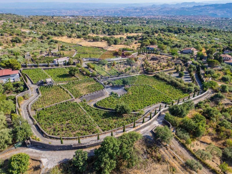 Terreno agrícola em Adrano