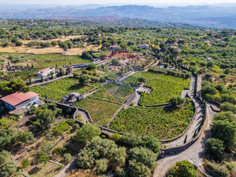 Terreno agricolo a Adrano