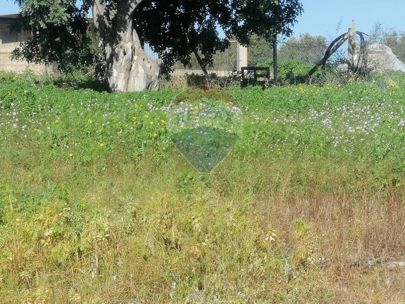 Landwirtschaftliche Fläche in Santa Croce Camerina