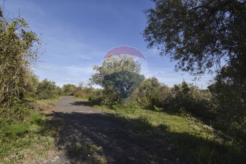 Landwirtschaftliche Fläche in San Pietro Clarenza