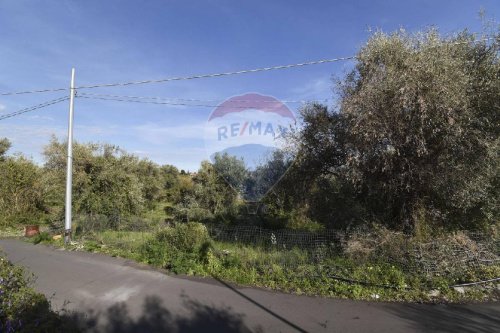 Agricultural land in San Pietro Clarenza