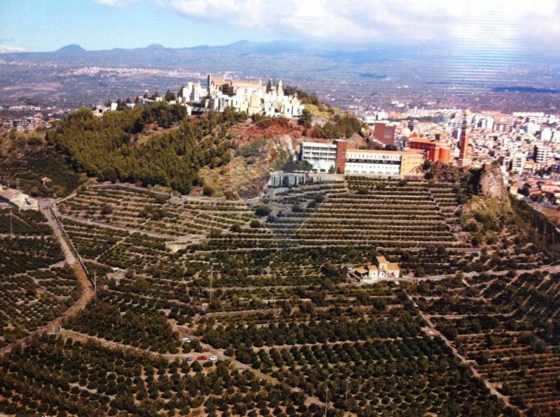 Agricultural land in Paternò