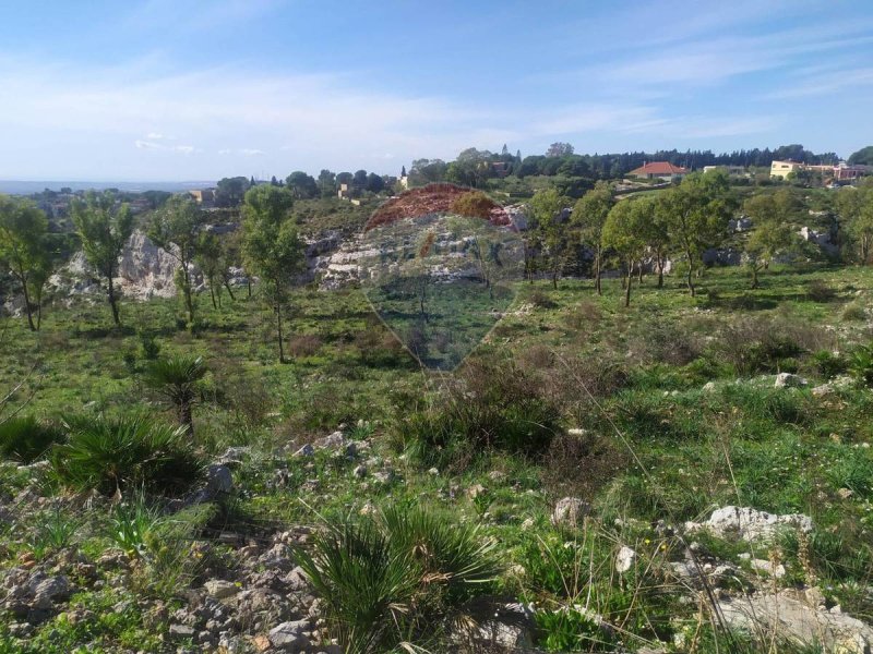 Terrain agricole à Avola