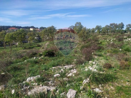 Terrain agricole à Avola