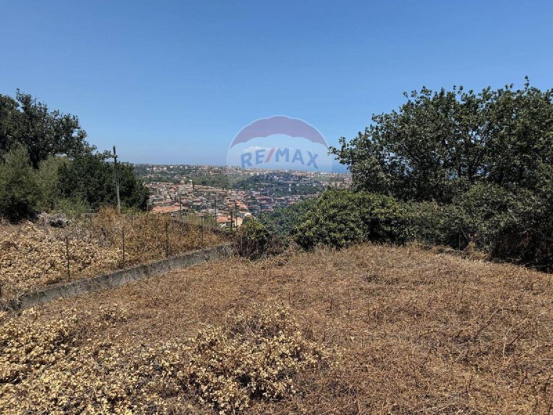 Agricultural land in Aci Catena