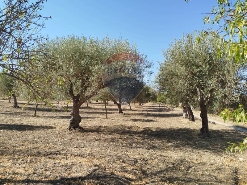 Terreno agrícola em Noto