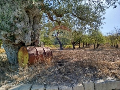 Landbouwgrond in Noto