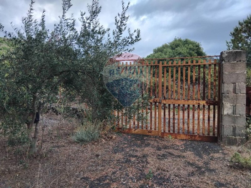 Terreno agrícola em Nicolosi