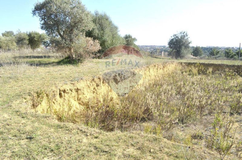 Terreno agrícola en Grammichele