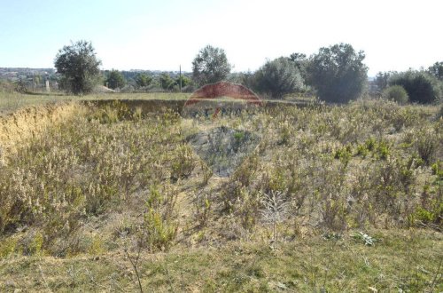 Landwirtschaftliche Fläche in Grammichele