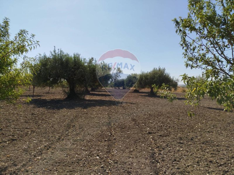 Agricultural land in Noto