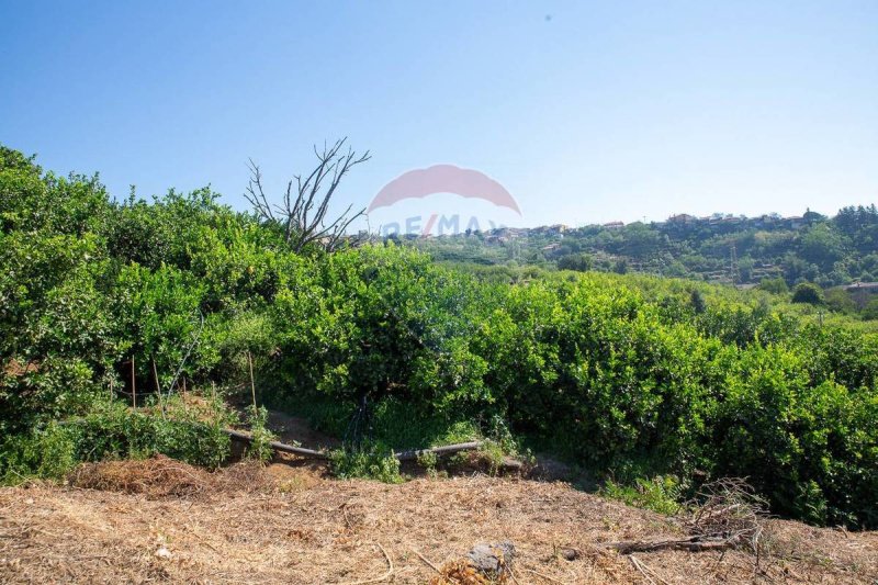 Agricultural land in Giarre