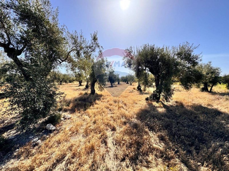 Terreno agrícola em Paternò