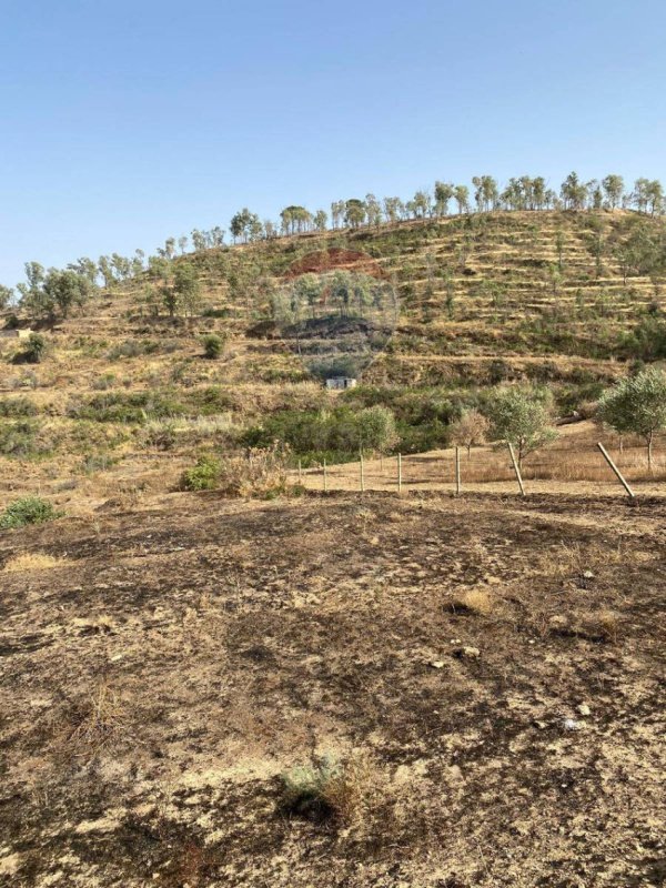 Terreno agrícola em Mineo