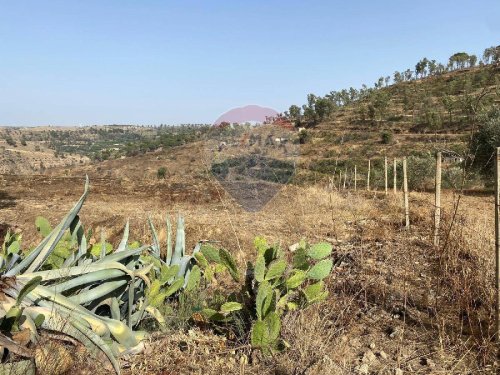 Terreno agrícola en Mineo