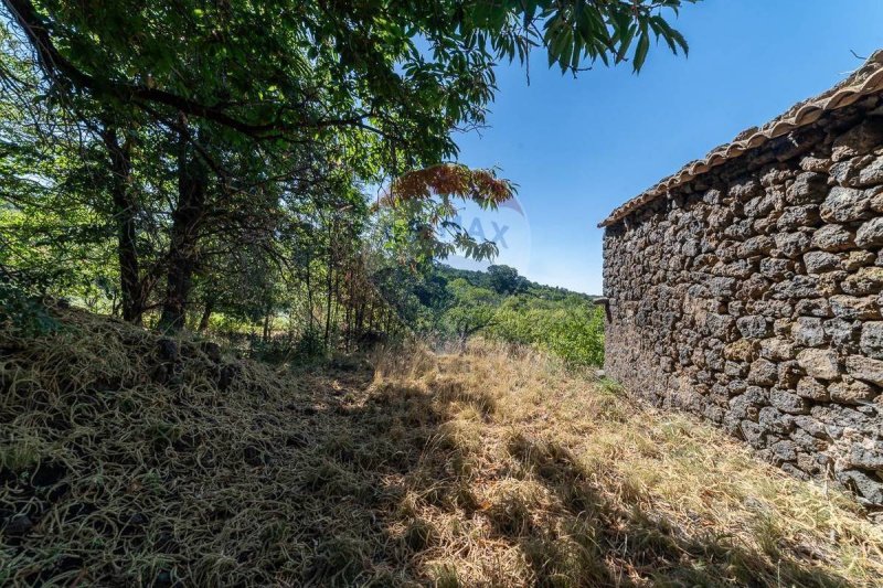 Terreno agrícola em Biancavilla