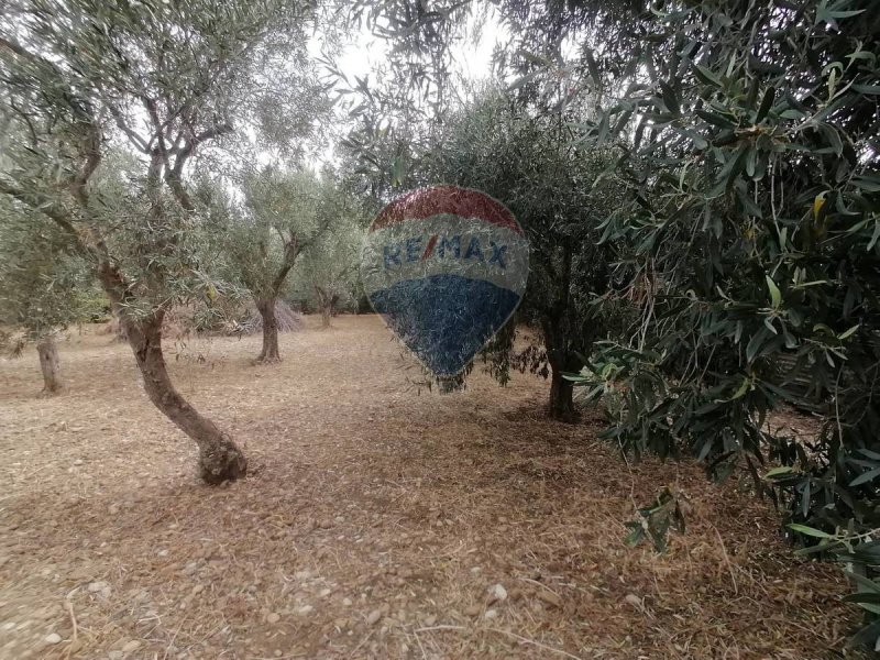 Terreno agrícola em Motta Sant'Anastasia