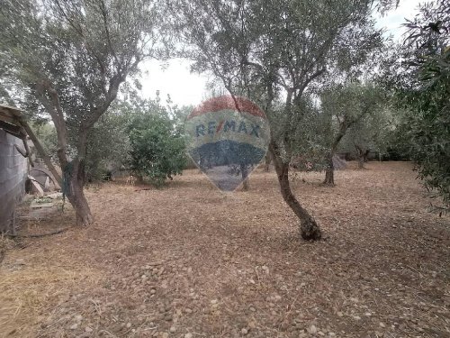 Agricultural land in Motta Sant'Anastasia