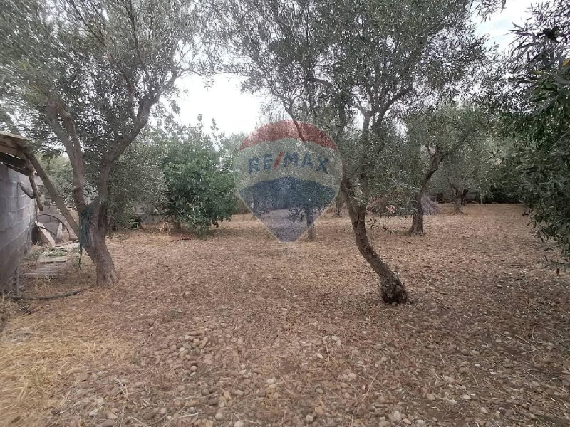 Agricultural land in Motta Sant'Anastasia