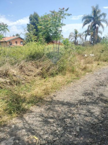 Terreno agricolo a Giarre