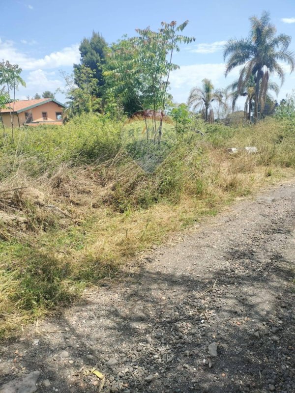 Agricultural land in Giarre