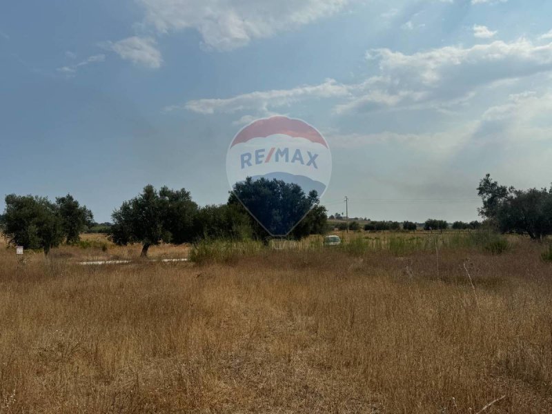 Agricultural land in Noto