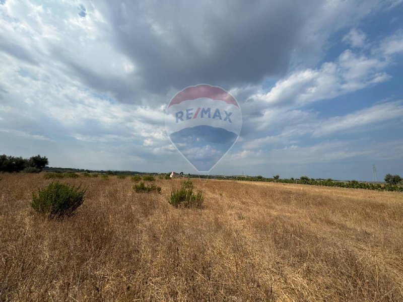 Agricultural land in Noto