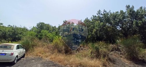 Landwirtschaftliche Fläche in Zafferana Etnea