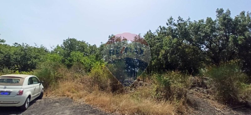 Terreno agrícola em Zafferana Etnea