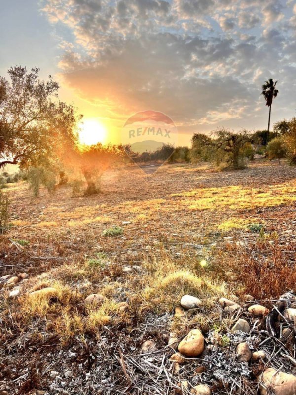 Landbouwgrond in Motta Sant'Anastasia